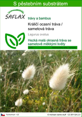 Obrázek produktu pro SAFLAX - Králičí ocasní tráva / sametová tráva - Lagurus ovatus - 100 Semena - S pěstebním substrátem bez klíčků