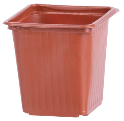 Immagine prodotto di Vaso Strend Pro, per piantine, quadrato, 8x8x8 cm