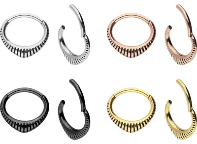 Produktbild von Ohrpiercing, Nasenpiercing, Septum Piercing Chirurgenstahl Segmentring Clicker DESIGN