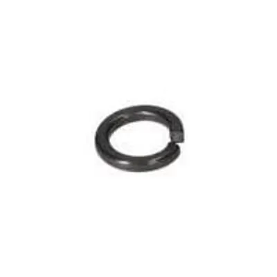 Immagine prodotto di Rondella elastica per Sega a catena BOSCH PROFESSIONAL - 1619P04820
