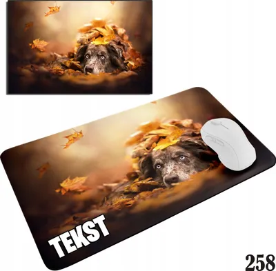 Image de Tapis de souris Tapis de souris selon votre choix de motif - DOG DOG DOG DOG DOG 29x36cm