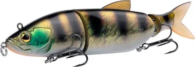 Immagine prodotto di SHIMANO Yasei Soul Swim, esca da nuoto, 16 cm, pesce persico / affondante, affondante, LUYASSSS16PER