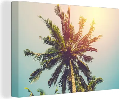 Produktbild von OneMillionCanvasses® - Leinwandbilder - 150x100 cm, Palme - Sommer - Tropisch - Sonne, Wandbilder Kunstdruck Wanddekoration - Foto auf Leinwand - Gemälde auf Holzrahmen