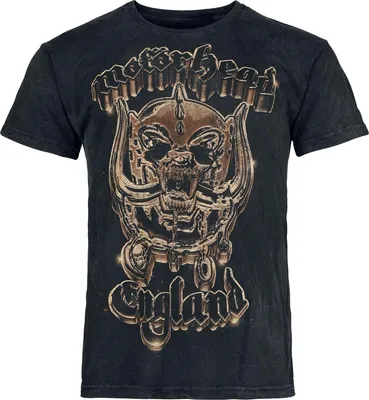 Produktbild von Motörhead T-Shirt Herren 50th Gold Warpig anthrazit L