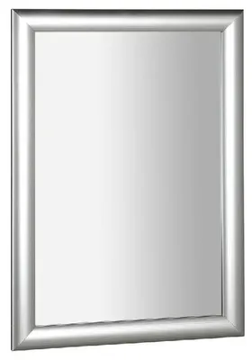 Obrázek produktu pro Sapho Zrcadla - Zrcadlo Esta v rámu 580x780 mm, stříbrná NL395