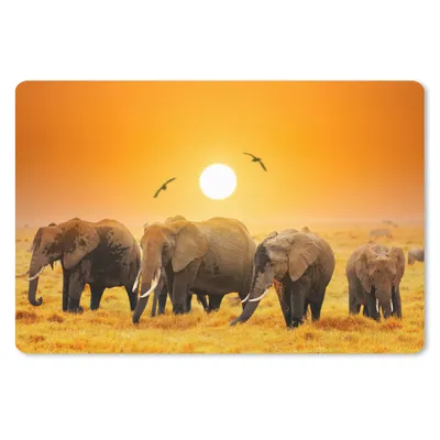 Produktbild von MuchoWow® Schreibtischunterlage Elefant - Vogel - Orange 60x40 cm - XXL Mauspad - Großes Mauspad