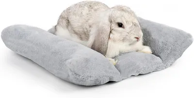 Immagine prodotto di Cuccia imbottita per conigli, 42,5 x 36 cm, grigia, per piccoli animali domestici