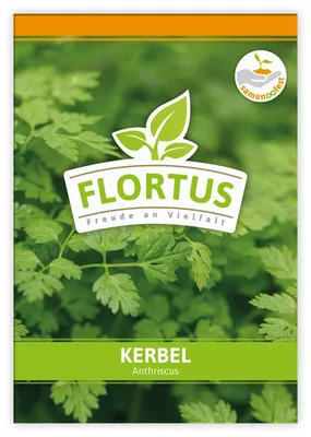 Produktbild von Kerbel | Kerbelsamen von FLORTUS