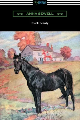 Produktbild von Black Beauty