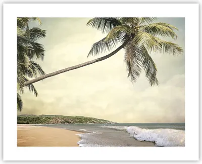 Produktbild von Poster - Poster ohne Rahmen - Palme Strand Insel - 50x40 cm - Wand Bild - Wanddeko - Wandbilder - Kunstposter - Wandposter - Bilder - Kunstdruck - Wanddekoration - Wandbild - P2XAA50x40-4154