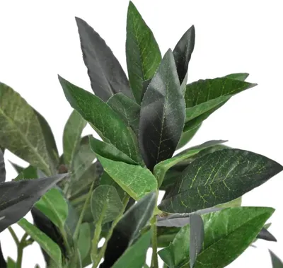 Produktbild von vidaXL Künstlicher Lorbeerbaum mit Topf 120 cm