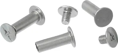 Produktbild von 100 Schraubnieten 16x9mm silbern, Nietschrauben, Buchschrauben, Buchnieten