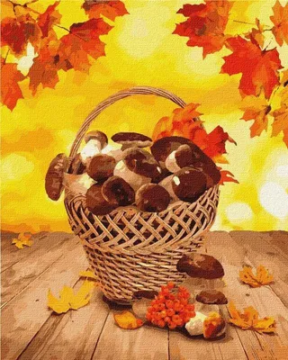 Obrázek produktu pro Malování podle čísel – Lesní dary 40 x 50 cm – Ideyka