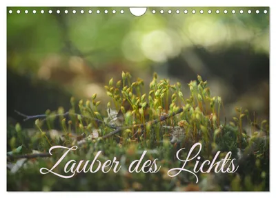 Produktbild von Zauber des Lichts (Wandkalender 2027 DIN A4 quer), CALVENDO Monatskalender