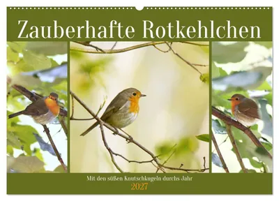 Produktbild von Zauberhafte Rotkehlchen (Wandkalender 2027 DIN A2 quer), CALVENDO Monatskalender