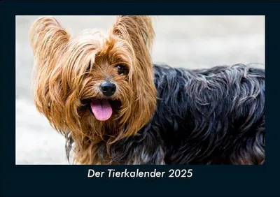 Produktbild von Der Tierkalender 2025 Fotokalender DIN A5