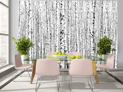 Produktbild von Vlies Fototapete Baum 350x256 cm Tapeten Wandtapete XXL Birke Wald Landschaft Natur schwarz weiß c-A-0016-a-a
