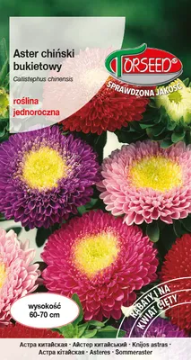 Produktbild von Samen der Großen Aster Bouquet Mix 1g - Torseed