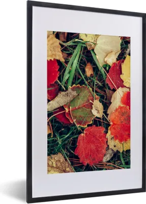Produktbild von MuchoWow® Gerahmtes Poster Blätter - November - Herbst - Natur 40x60 cm - Poster mit Schwarzem Bilderrahmen Wandposter Rahmen Foto Bilder - Poster in Rahmen
