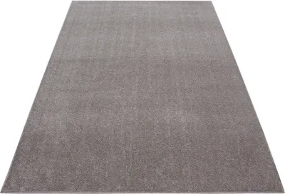 Produktbild von Ayyildiz Hali ATA1402007000BEIGE, Teppich, Polypropylen (PP), Beige, Rechteck, 1400 mm, 2000 mm