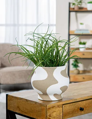 Produktbild von Gilde Vase, rund, Areno, Keramik, beige, weiß, VE 2, D. 22.5 cm Höhe: 20.00 cm Durchmesser: 22.50 cm 58542