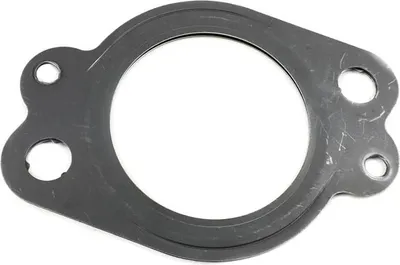 Immagine prodotto di Auspuffdichtung Volvo Renault | 21394765, 8148172, 20984451