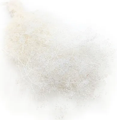 Produktbild von Kleines Shleierkraut Stabilisiertes - (Gypsophila) - Gebleichtes