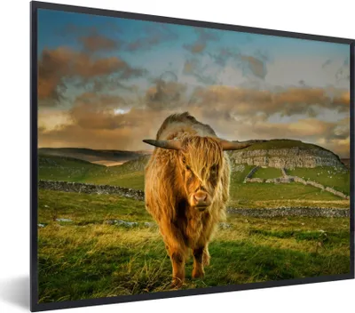Produktbild von MuchoWow® Gerahmtes Poster Schottischer Highlander - Gras - Berg 80x60 cm - Poster mit Schwarzem Bilderrahmen Wandposter Rahmen Foto Bilder - Schwarzem - Mit Gestell