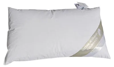 Produktbild von Betten Hofmann Daunenkissen 30x50 cm 120 g neue Daunen Kopfkissen Kleinkissen Nackenkissen