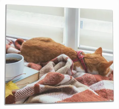 Produktbild von Wallario Herdabdeckplatte aus Glas, Größe 60 x 52 cm 2-teilig, Motiv Schlafende Katze beim Kaffeekränzchen