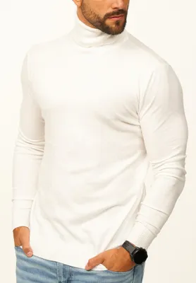 Produktbild von DAILY Baumwolle Herren Rollkragenpullover als Feinstrick Pulli in Slim Fit für Herren Männer Winterpullover - Casual & Business Look Rolli
