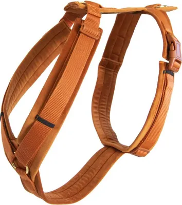 Zdjęcie produktu dla Kentucky Dogwear szelki dla psa Active Velvet Orange S (26-40cm)