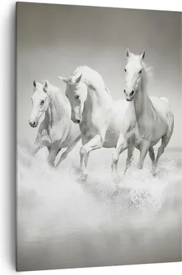 Produktbild von Bild auf Leinwand - Leinwandbild - Einteilig - Bauernhof pferde galopp freiheit - 70x100cm - Wand Bild - Wandbilder - Leinwanddruck - Wanddekoration - Leinwand bilder - Wandbild - PA70x100-2389