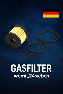 Produktbild von Gasfilter KN 278 für BRC ET98 Typ 2 Autogas LPG 4 Dichtringe NEU Abschaltventil
