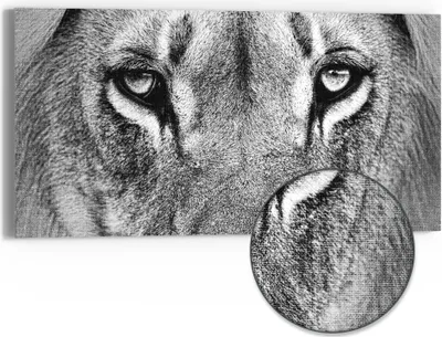 Produktbild von DEQORI Hybrid Leinwand Bild 60x30 cm 'Majestätischer Blick' Wandbild Glas flach modern