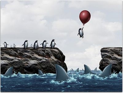 Wandbild Acrylglas Motivation, fliegender Pinguin, Hai, Felsen, Meer M0140 – 40x30cm