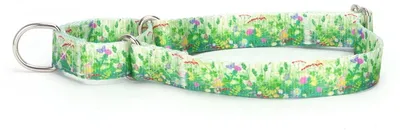 Immagine prodotto di Collare per cani Martingale, regolabile, in nylon, colore verde, taglia M, circonferenza 36-45 cm