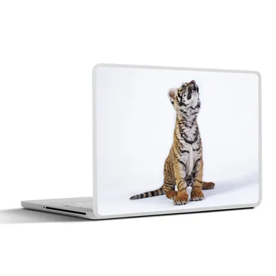 Produktbild von MuchoWow® Laptop Aufkleber Sticker Cover Tiger - Jungtier - Weiß 32.5x23.5 cm - Sticker für Laptop - Selbstklebend