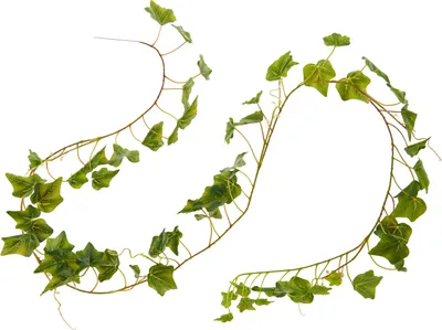 Produktbild von Efeugirlande "Greenery", 1,80 m