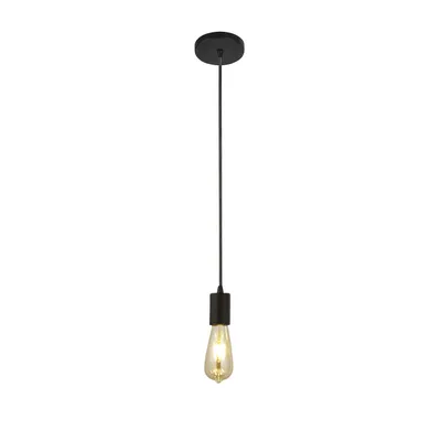 Obrázek produktu pro Závěsné svítidlo Industrial-Nordic Squiggle Steel Black 1 Light E27