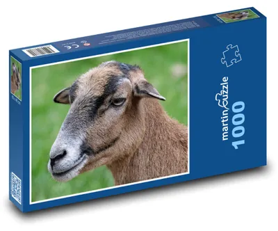 Obrázek produktu pro Puzzle 1000 Kamerunská ovce na farmě - martinpuzzle