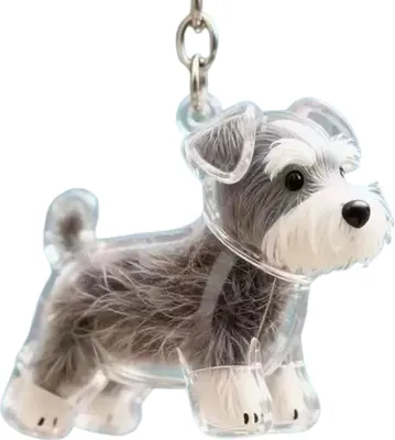 Produktbild von Schlüsselanhänger zum Sammeln von Hundehaaren, Schlüsselanhänger in Hundeform, Charm-Schlüsselanhänger, Gedenk-Aufbewahrungsbox, transparente Andenkenkapsel für Tierfell, Gedenkgeschenk für Tierliebhaber