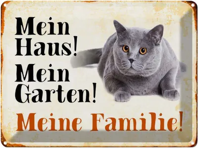 Produktbild von vianmo Blechschild 30x40 cm Tiere Katze mein Haus Garten Familie
