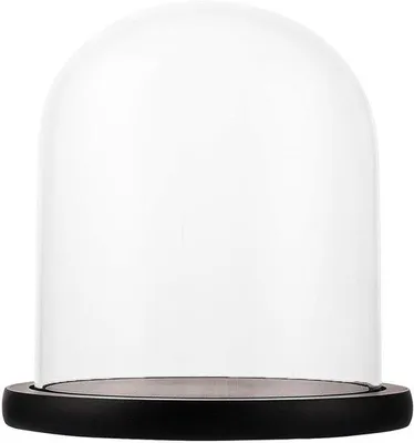 Immagine prodotto di Vaso decorativo in vetro, altezza 17 cm, base in legno