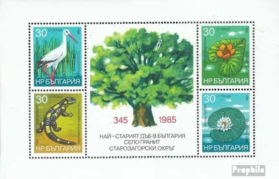 Produktbild von Briefmarken Bulgarien 1986 Mi Block167A (kompl.Ausg.) postfrisch Natur und Umweltschutz
