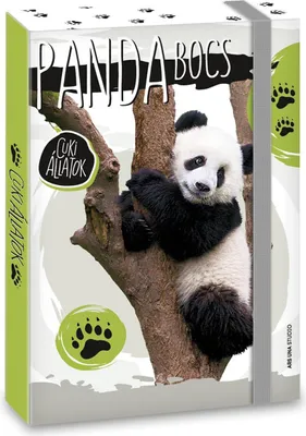 Produktbild von Ars Una Heftbox A5, Sammel- Heftmappe für Schulranzen, mit Gummiband und Innenklappen, Cute animals - Panda, für Mädchen