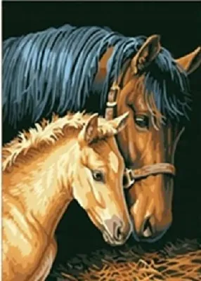 Produktbild von Diamantmosaik "Pferd mit Fohlen", 30X40 Cm, kreative Diamanten