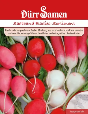 Produktbild von Radies Mischung Saatband | Radieschensamen von Dürr Samen