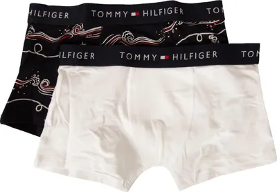 Zdjęcie produktu dla TOMMY HILFIGER Bokserki dla chłopców, chłopiec, zestaw 2 sztuki, widoczny gumowy pasek z logo, numer artykułu UB0UB00550, XS wiek 4–5 lat / 104–110 cm, 95% bawełna, 5% Elasthan