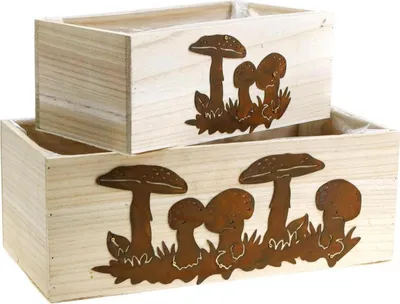 Produktbild von Pflanzkasten-Set Holzkisten mit Pilzen Herbstdeko Edelrost Vintage-Design L40/30cm 2er-Set